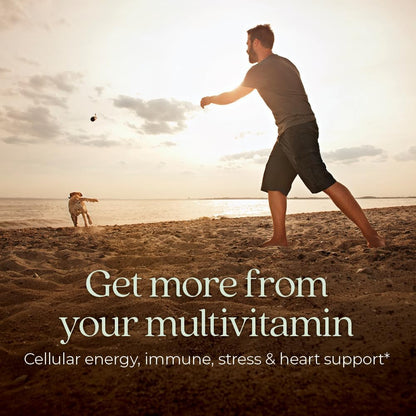 New Chapter Men’s Multivitamin, B6, Extra B12, D3, Vitamin C & Zinc, Immune, Heart, Cellular Energy, and Brain Health, Gentle on The Stomach, One Daily, Non-GMO, Gluten-Free, 18+, 48 Tablets