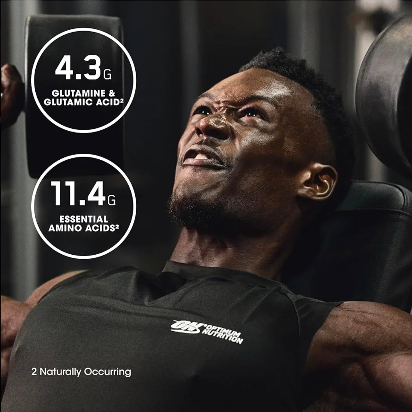 Optimum Nutrition Gold Standard 100% Isolate, Protein Powder, Chocolate Bliss, 3 Pounds, 44 Servings. Whey Protein Isolate (Packaging May Vary)